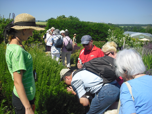 Im Duftgarten Hilsingen