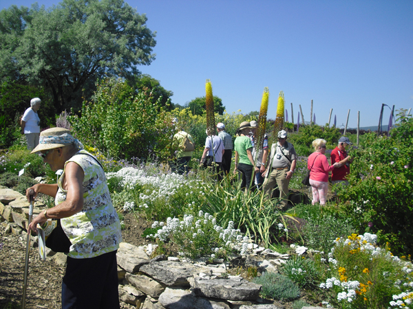 Im Duftgarten Hilsingen