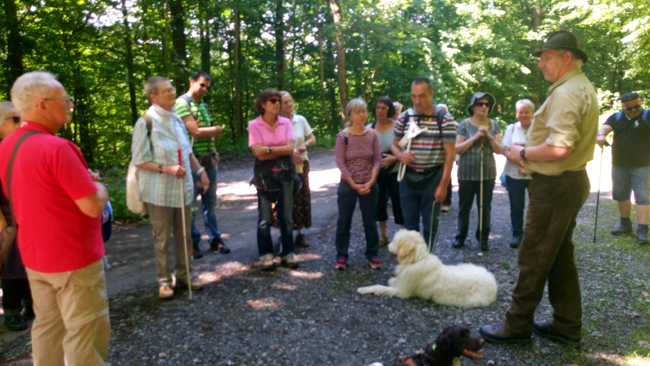 Oliver Zorn erklärt der Gruppe den Wald